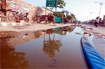 Stagnant water on city roads is a fertile breeding ground for dengue mosquitoes