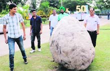 The 5.5-tonne rock excavated from Jabli, near Kasauli, being shifted to its site of installation at the Chandigarh College of Architecture as part of the golden jubilee celebrations of the college in Chandigarh on Thursday.