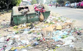 Garbage piles up on the side of District Court Road as the indefinite strike by safai karamcharis of the MC enters the third day in Jalandhar on Thursday