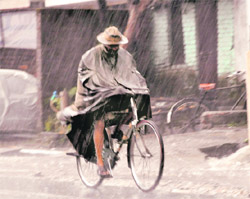 A cyclist braves rain in Dehradun on Friday