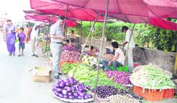 A view of apni mandi at Partap Bagh.