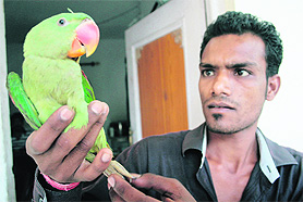 Vicky Singh with his parrot outside the Wildlife Dispensary at Manda Hills in Jammu on Saturday. 