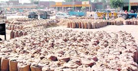 Paddy brought in by farmers awaits buyers at a grain market in Amritsar