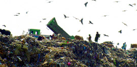 The Municipal Corporation of Delhi has started using its new landfill site at Narela-Bawana in northwest Delhi.