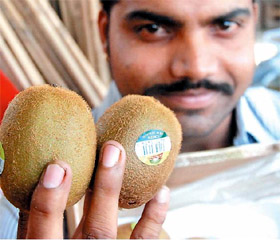 The price of kiwi fruit has shot up as its properties are said to be beneficial for dengue patients.