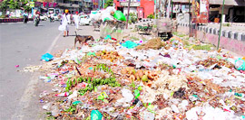 A garbage pile on Lawrence road in Amritsar.