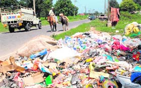 Garbage strewn on the roadside