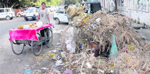 The strike effect A waste dump near Tehsil Complex awaits lifting of garbage in Jalandhar on Wednesday.
