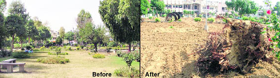 (Top) A file photo of a park in Block I of Sarabha Nagar; and (below) the same park without the greenery in Ludhiana.