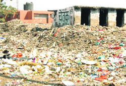 A heap of garbage along the Ram Bagh Road near Basanti Mai Mandir in Ambala Cantt