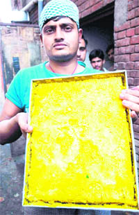 A tray containing fungus-infested sweets which was seized from Gobind Sweets at Sector 7 in Chandigarh on Friday