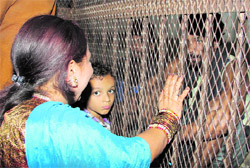 A woman meets her husband lodged at the Central Jail on Karva Chauth in Jalandhar on Saturday