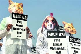 Activists and supporters of People for the Ethical Treatment of Animals stage a demonstration to urge the Ministry of Environment and Forest to pass the new draft Animal Welfare Act in New Delhi on Saturday. 