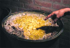 Fungus-infested pickle that was seized in Ludhiana