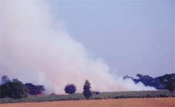 A thick cloud of smoke created due to the burning of stubble in the fields at a village in Bathinda. 