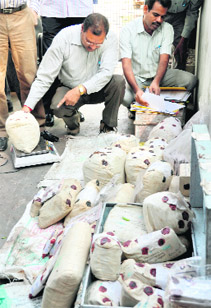 NCB officials examine the contraband before destroying it at an incinerator in Mohali on Friday. Tribune photo: Vicky Gharu