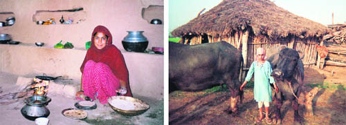 The nomadic ways of Van Gujjars are the very lifeline of this culturally vibrant forest-based community
