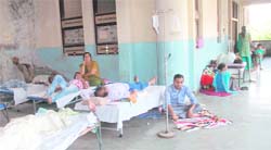 Suspected dengue patients admitted to the Civil Hospital in Jalandhar on Saturday. 