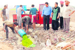 Officials of the District Health Department destroy substanded petha seized from a factory in Ludhiana