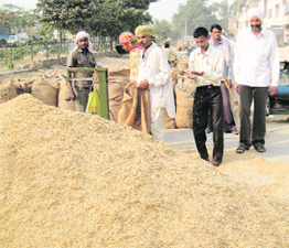 Paddy is filled in gunny bags in Kaithal mandi.