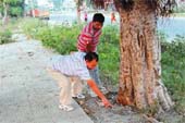 A man points to the spot beneath a peepal tree where the kidnapped boy was found. 
