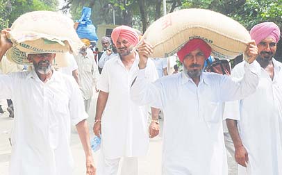 All seeds can be produced in villages and delivered at the doorstep of farmers.