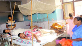 Dengue patients admitted in the Civil Hospital in Jalandhar.
