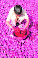 A child dips earthen lamps into red paint in Amritsar ahead of the festival of lights.