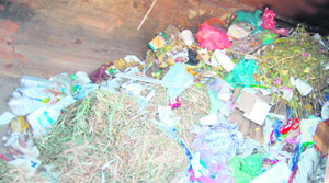 Bio-medical waste thrown in garbage bin at the Civil Hospital in Amritsar. Tribune photo: Sameer Sehgal
