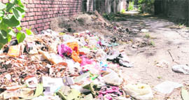 A heap of garbage lying in the service lane of Sector 16, Chandigarh.
