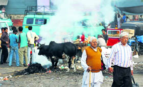 Polluting environment: Garbage being burnt outside the Jammu Railway Station.