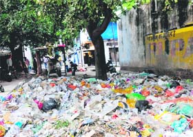 Garbage strewn near a residential area in Sector 19, Chandigarh