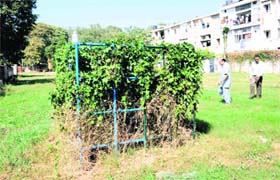Playing equipment for children is overrun by wild growth at a park in Sector 18