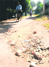 A damaged cycle track on the road separating Sectors 28 and 29.