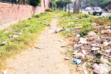 The bad condition of a cycle track on the road separating Sectors 51 and 61 road in Chandigarh. 