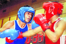 Boxers in action during the Panjab University Inter-College Boxing Tournament for Men at gymnasium hall on Monday. 