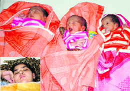 The triplets born to Mamta (inset) in Panipat on Monday.