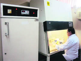 A scientist at the NRCEs national diagnostic and reference laboratory for diagnosis of glanders in  humans in Hisar. Tribune photo 