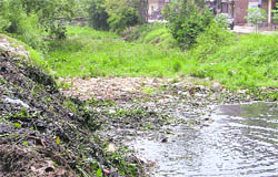 A view of the choked Budha Nullah near Kashmir Nagar in Ludhiana