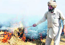A farmer burns paddy stubble in his fields outside Galib Ran Singh village near Jagraon