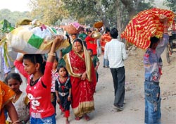 People arrive on the banks of the Sirhind canal to offer arghya to the setting sun on the occasion of the Chhath festival in Bathinda on Tuesday evening