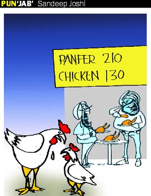 Rising paneer prices has devalued us!