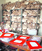 Old records being preserved by binding at the Tehsil Complex in Jalandhar. 