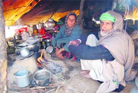 A Gujjar couple in a makeshift tent in the Valley. Gujjars shift to the plains from the higher reaches as winter sets in Kashmir