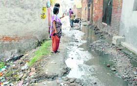 Filth and slush accumulated on a street of Ekta Nagar near Rama Mandi in Jalandhar