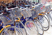 Photographs of the Chief Minister are missing from the bicycles parked in a cycle stand at a government school in Bathinda