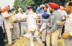 A section of ex-servicemen burns the effigy of Defence Minister AK Antony in protest against the non-implementation of their demands in Mohali on Friday. 