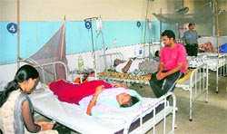 Suspected dengue patients admitted to the Civil hospital in Jalandhar on Saturday