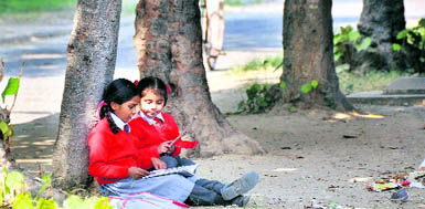 A girl teaches another under a tree as they wait for their autorickshaw after school.