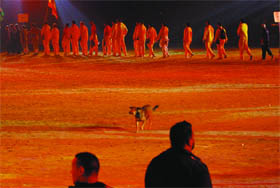 A dog entered the multi-purpose stadinum in Bathinda during the inaugural ceremony of the World Kabaddi cup amidst tight security arrangements. 